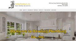 Desktop Screenshot of dowlingplumbingcoinc.com